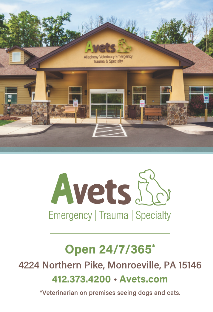 AVETS Moraine Grove Vet Clinic