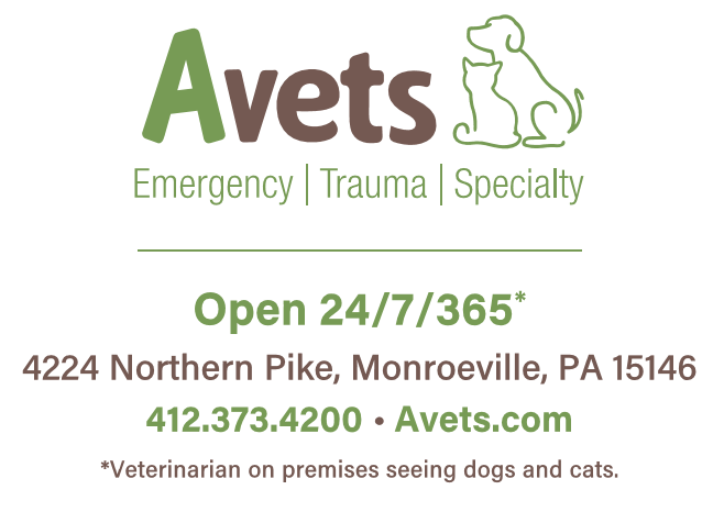 AVETS