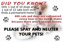 WHY SPAY AND NEUTER?